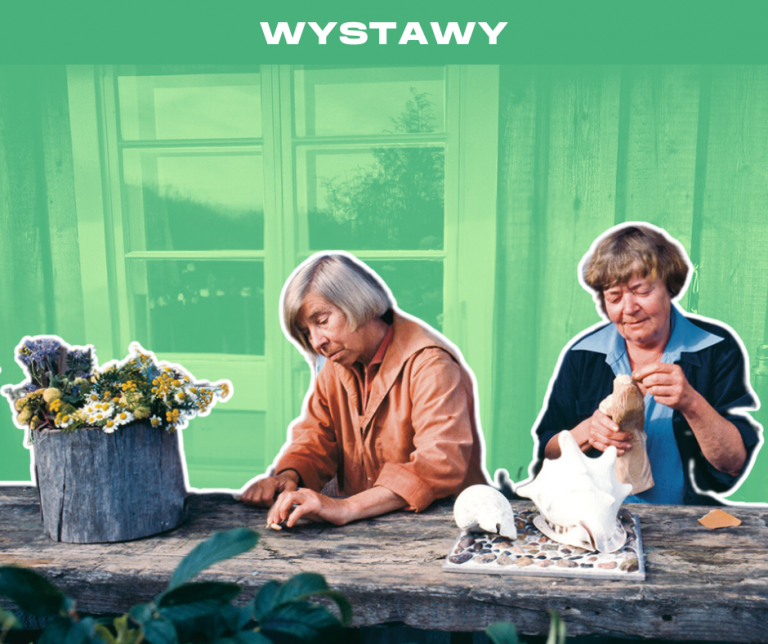 FILMY Z DOLINY MUMINKÓW: „Haru: Wyspa samotnych” i „Tove i Tooti w Europie” (30.11.2025)